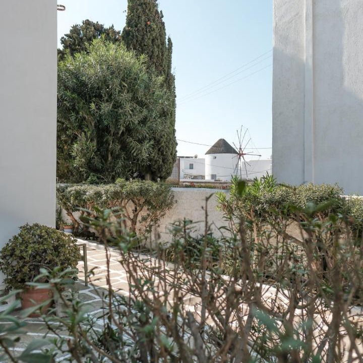 Photo of Others in Mykonos Town