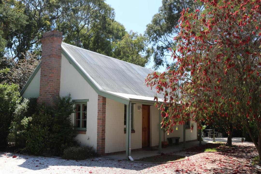 Photo of Buildings in Tanunda