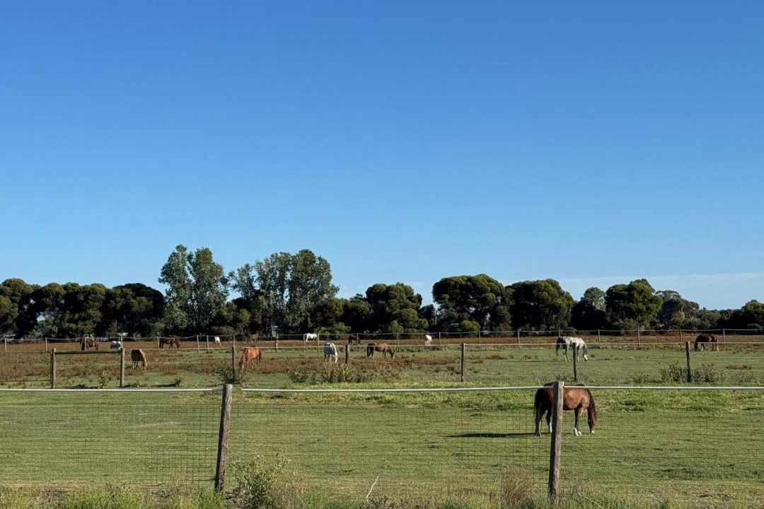 Photo of Others in Swan Hill