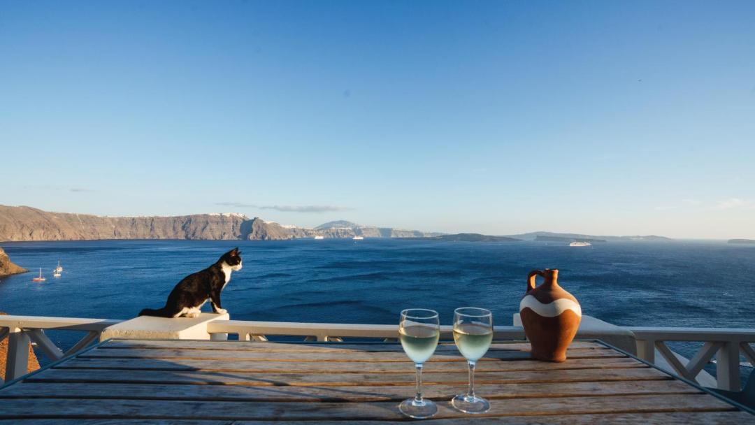 Photo of Others in Oia