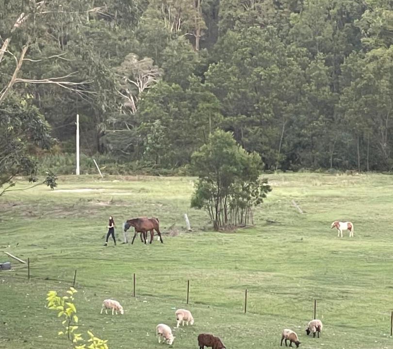 Photo of Others in Murrays Run