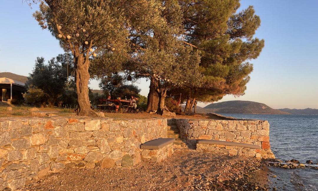 Photo of Others in Alyfanta