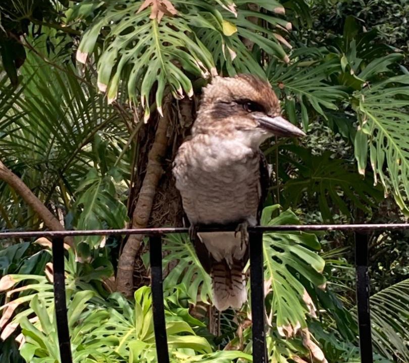 Photo of Others in Palm Beach