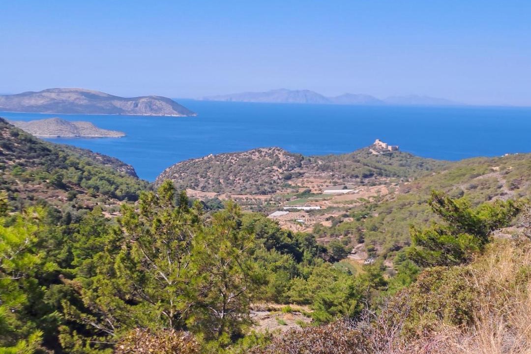 Photo of Others in Kritinia