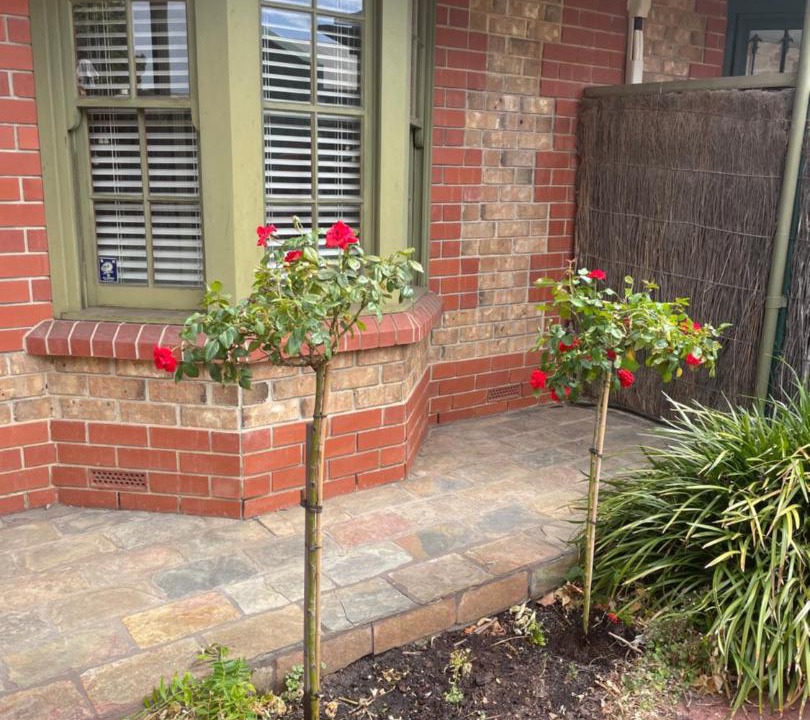 Photo of Others in North Adelaide