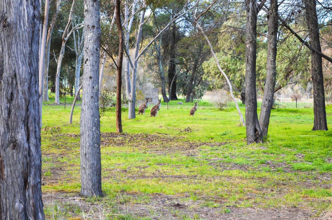 Photo of Others in Altona