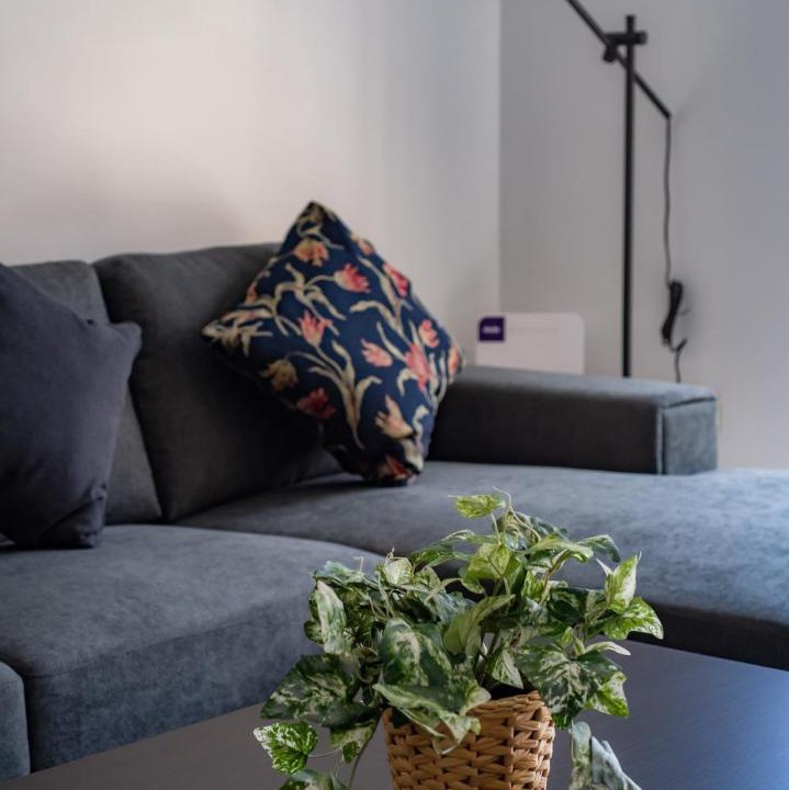 Photo of Livingroom in Parramatta