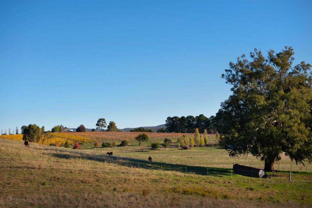 Photo of Others in Franklinford