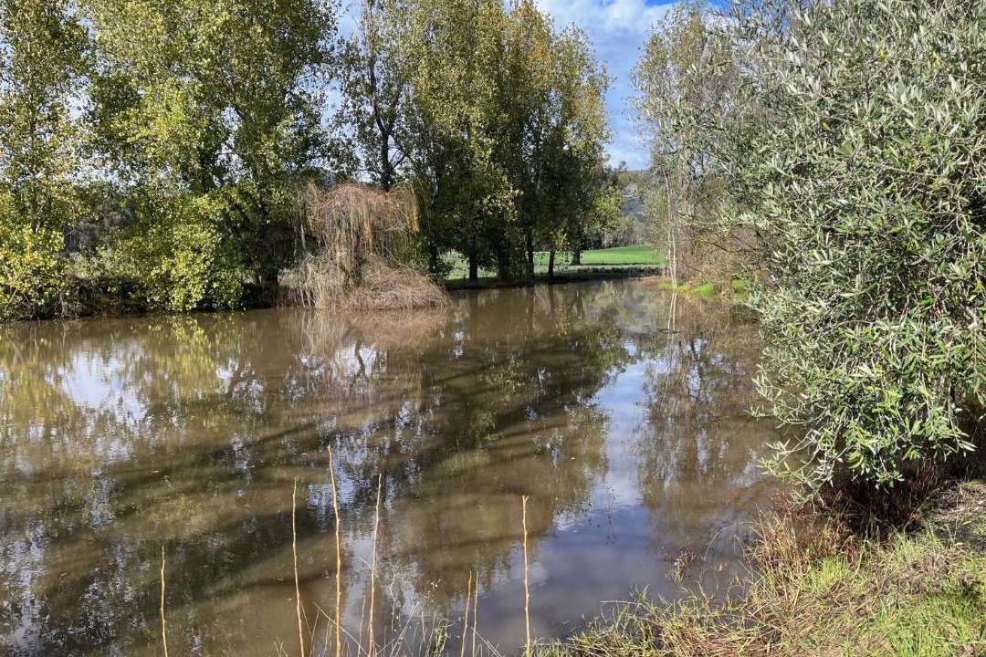 Photo of Others in Warrenbayne
