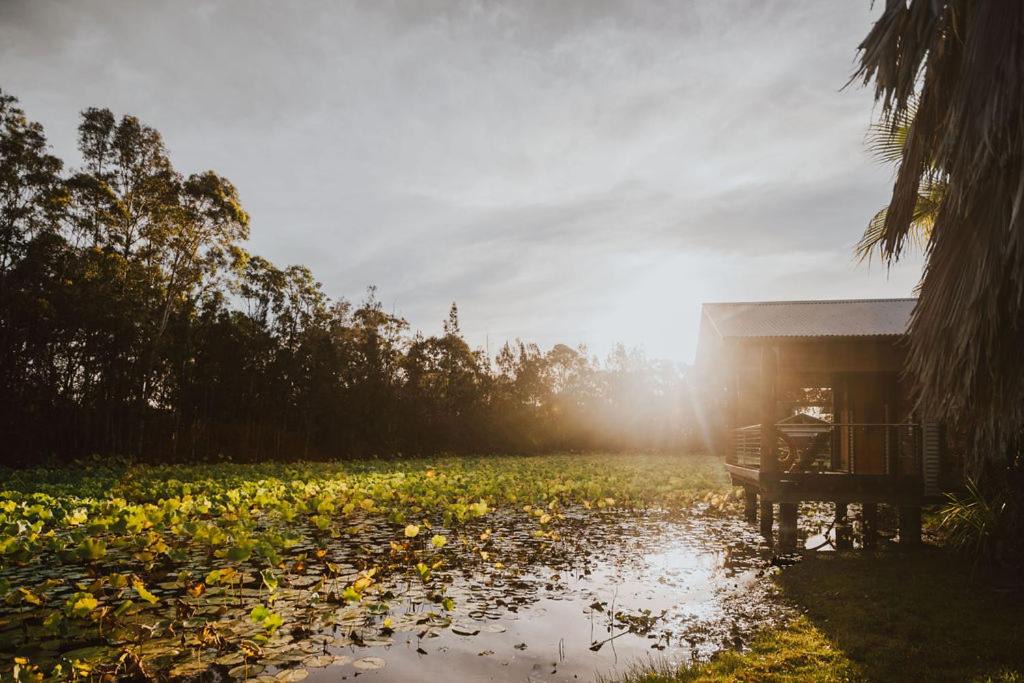 Photo of Others in Lovedale