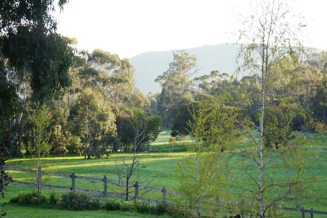Photo of Others in Strath Creek