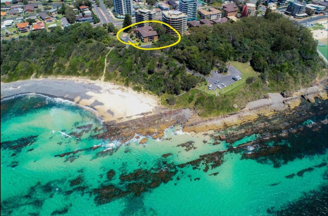 Photo of Others in Forster