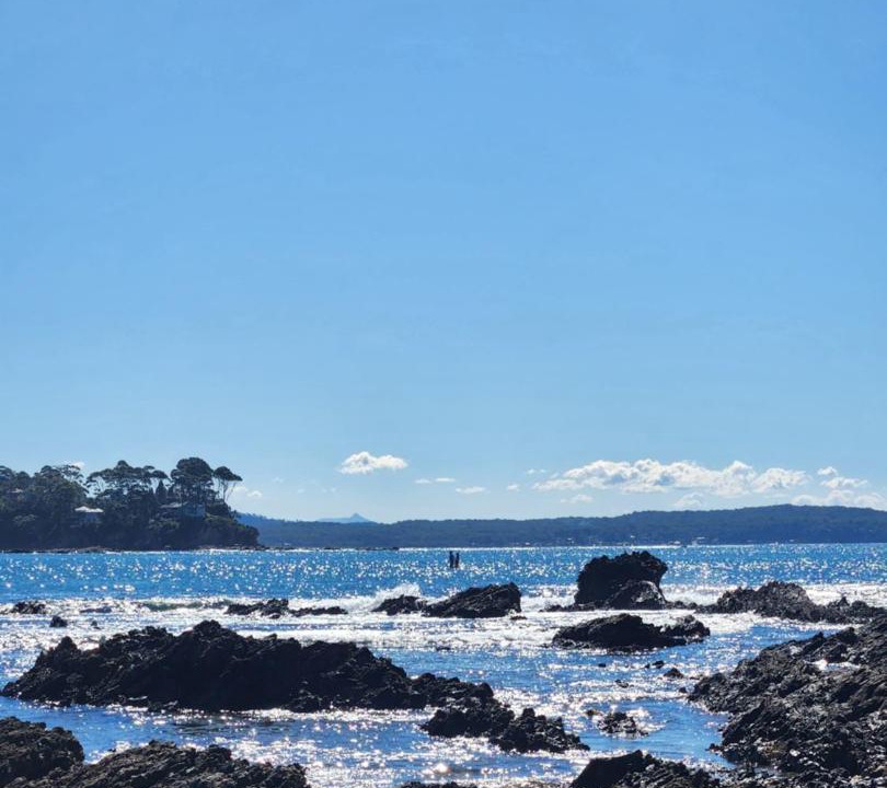 Photo of Others in Denhams Beach