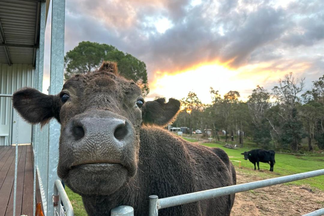 Photo of Others in Nannup