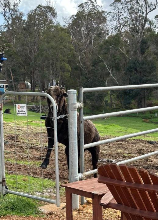 Photo of Others in Nannup
