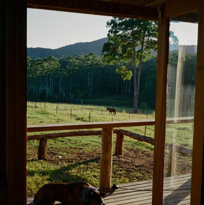 Photo of Others in Coramba