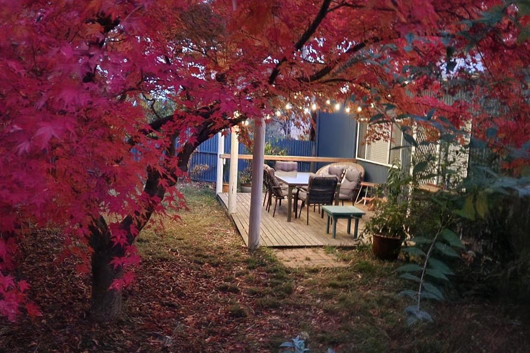 Photo of Others in Tumbarumba