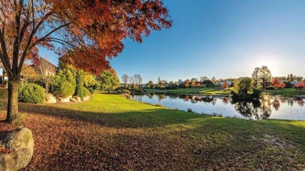 Photo of Others in Stanthorpe