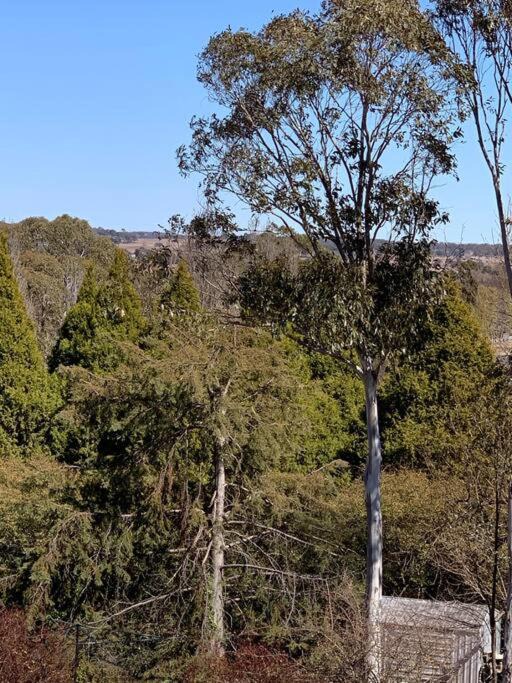 Photo of Others in Guyra