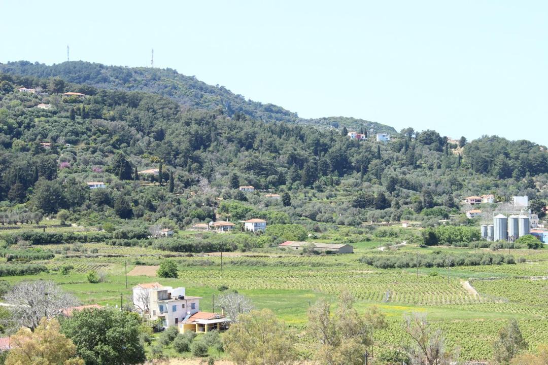 Photo of Others in Karlovassi