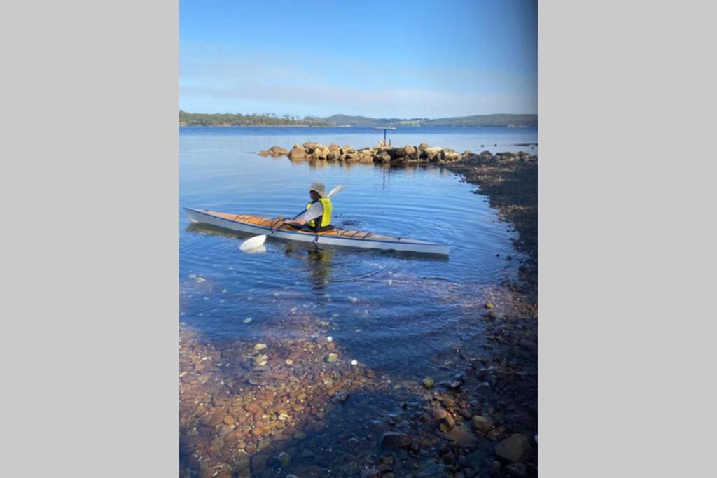 Photo of Human In Picture in Lunawanna