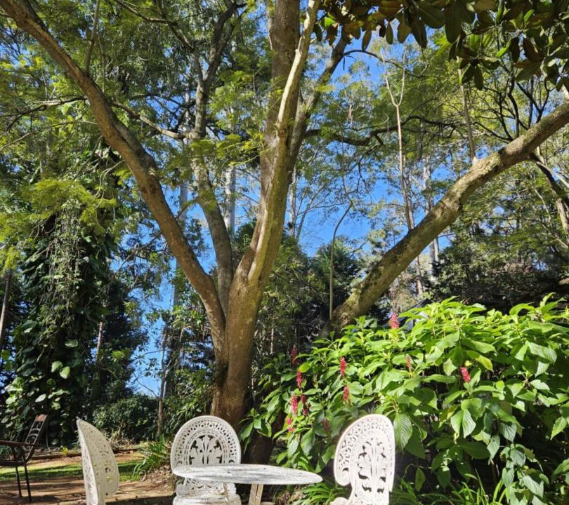 Photo of Others in North Tamborine
