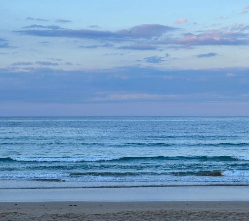 Photo of Others in Manly