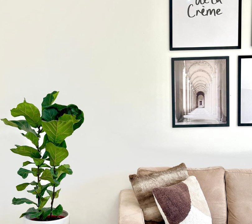 Photo of Livingroom in Lightsview