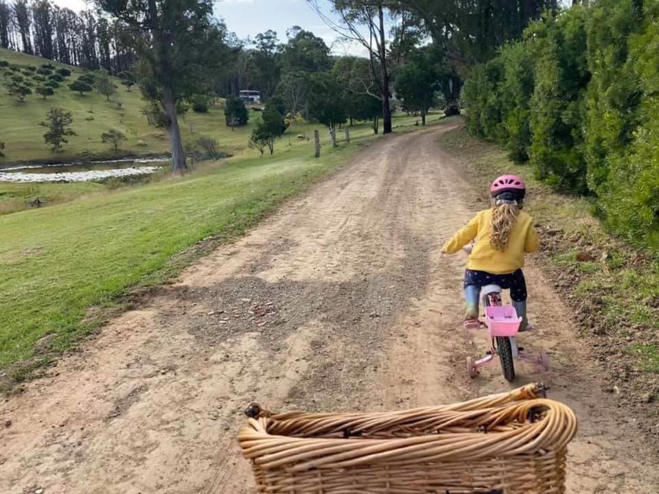 Photo of Others in Possum Brush