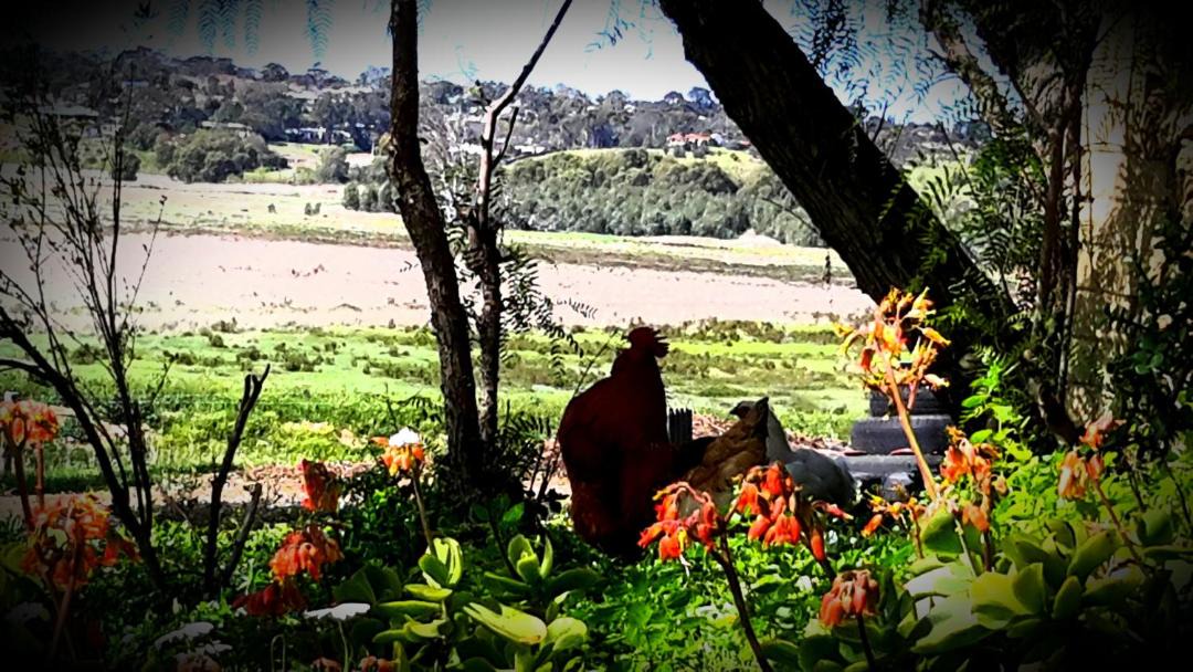 Photo of Others in Northern Heights