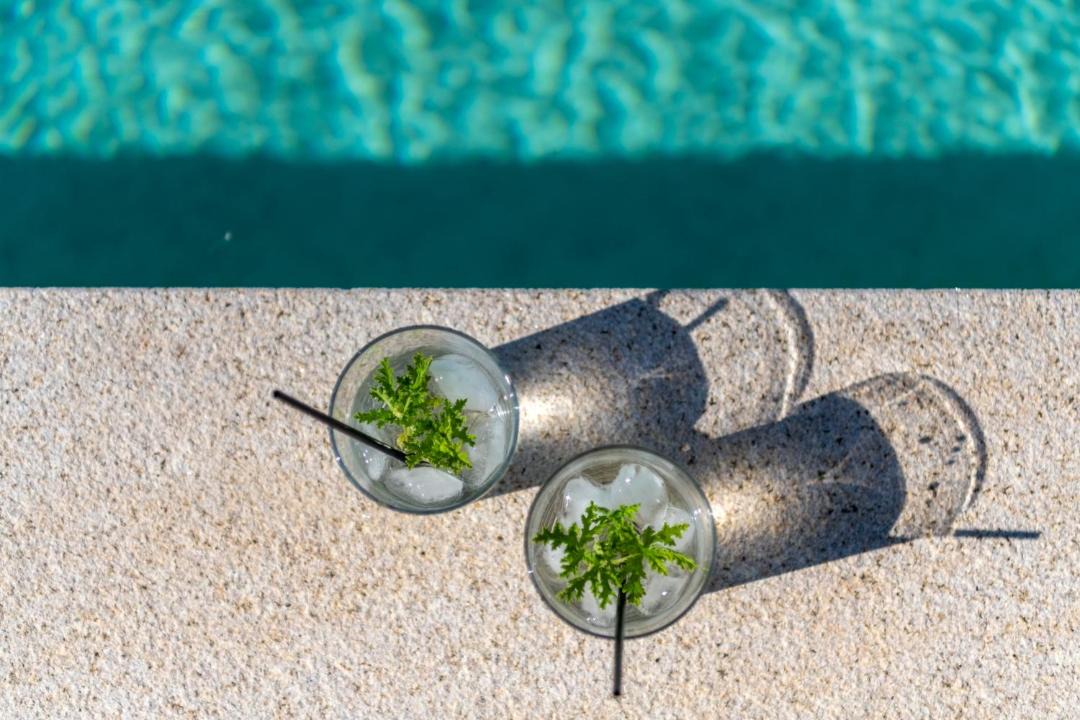 Photo of Others in Posidonia
