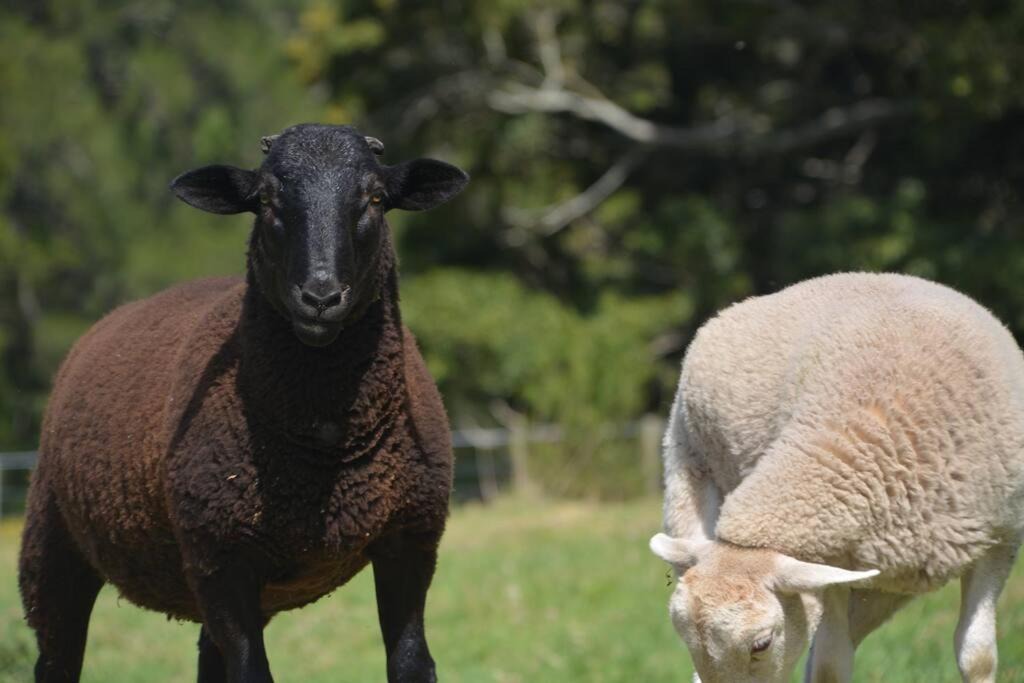 Photo of Others in Bundewallah