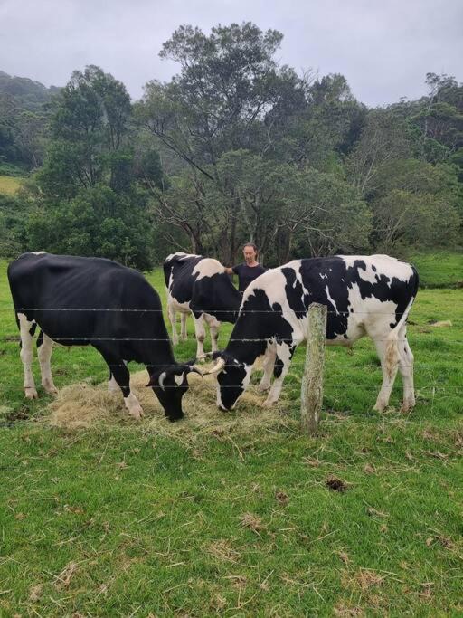 Photo of Others in Bundewallah