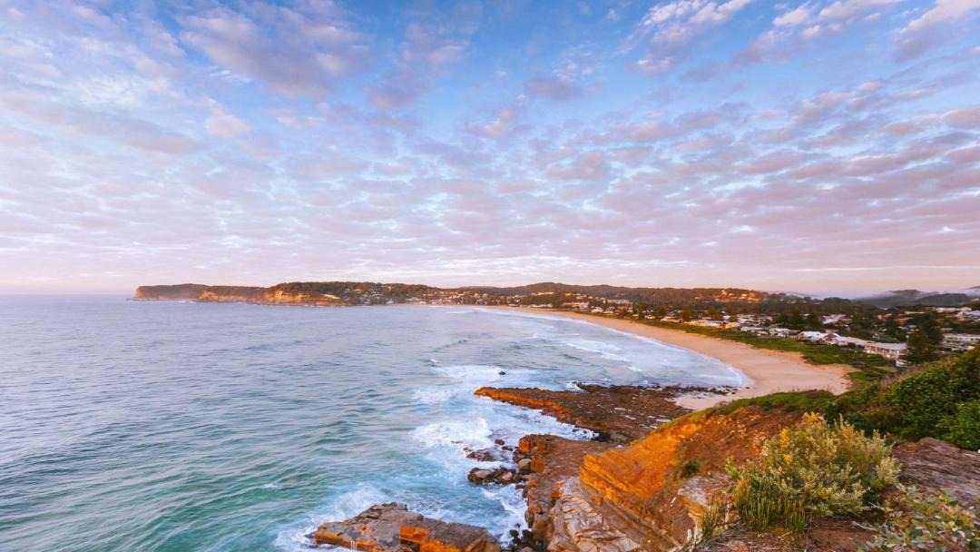 Photo of Others in North Avoca