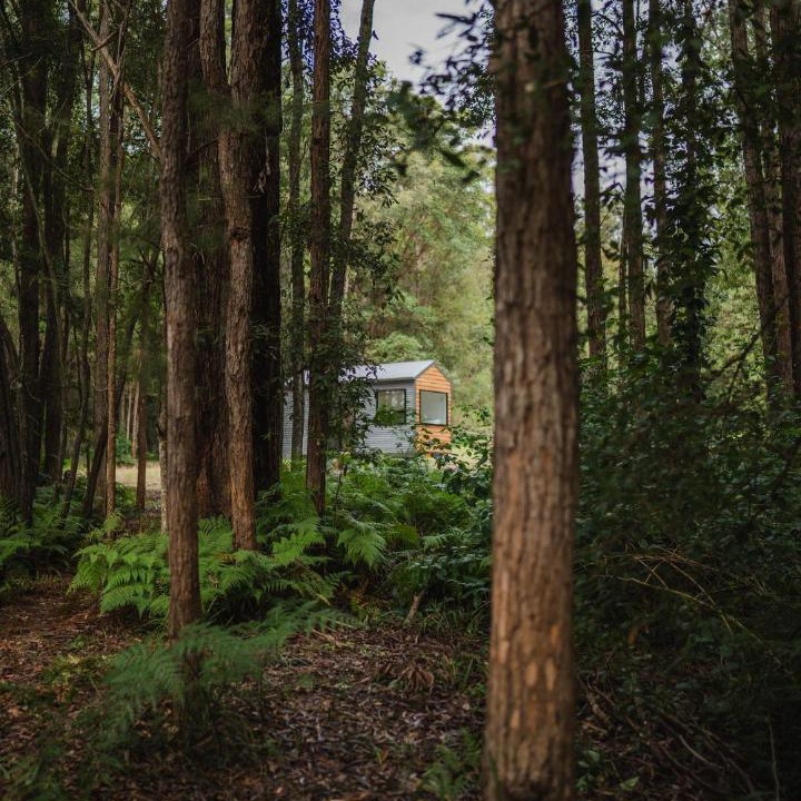 Photo of Others in Peachester