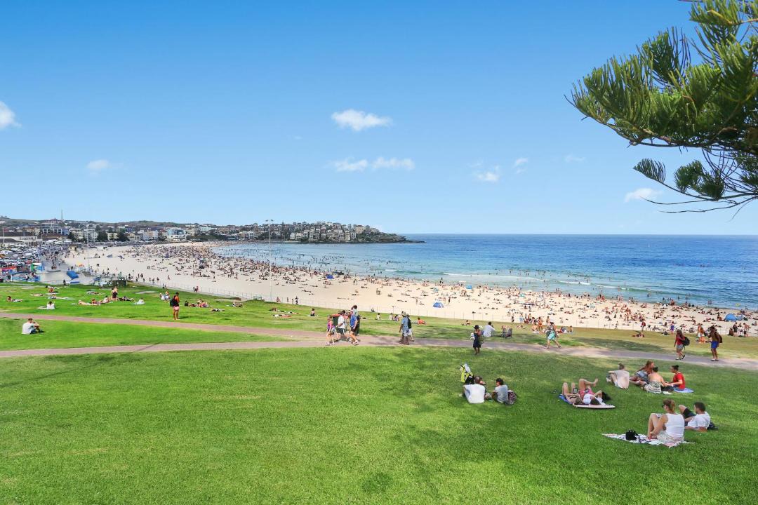 Photo of Others in North Bondi