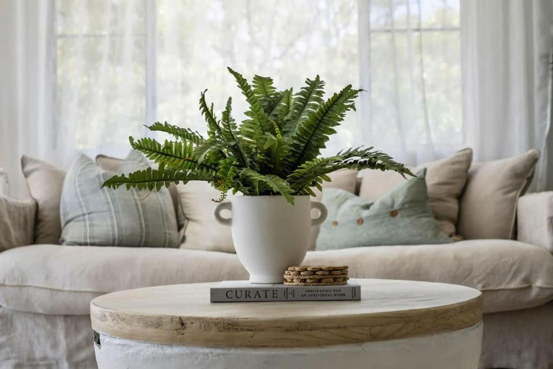 Photo of Livingroom in Shoal Bay