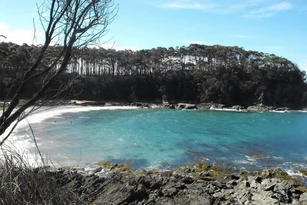 Photo of Others in Malua Bay