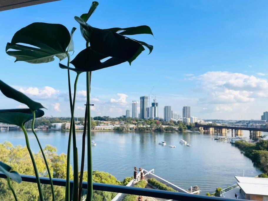 Photo of Patio Balcony in Meadowbank