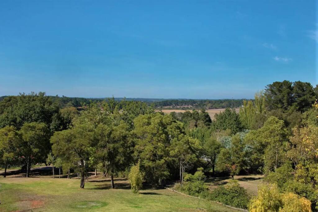 Photo of Others in Mount Eliza