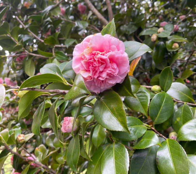 Photo of Outdoor in Robertson