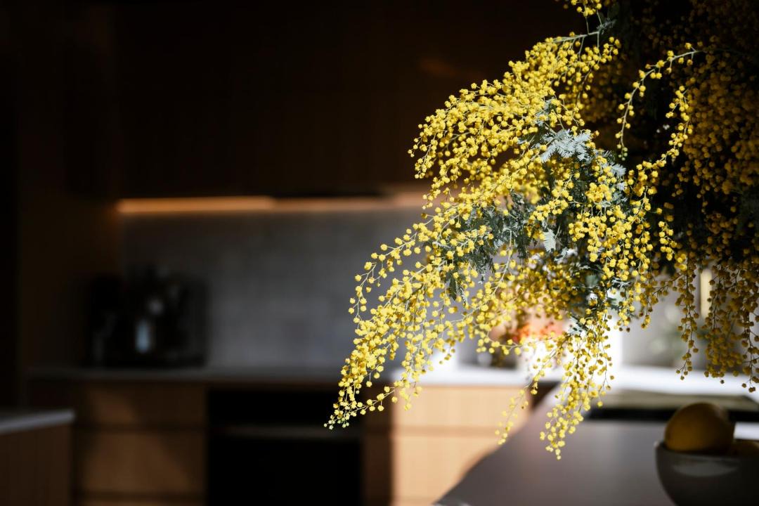 Photo of Kitchen in Red Hill