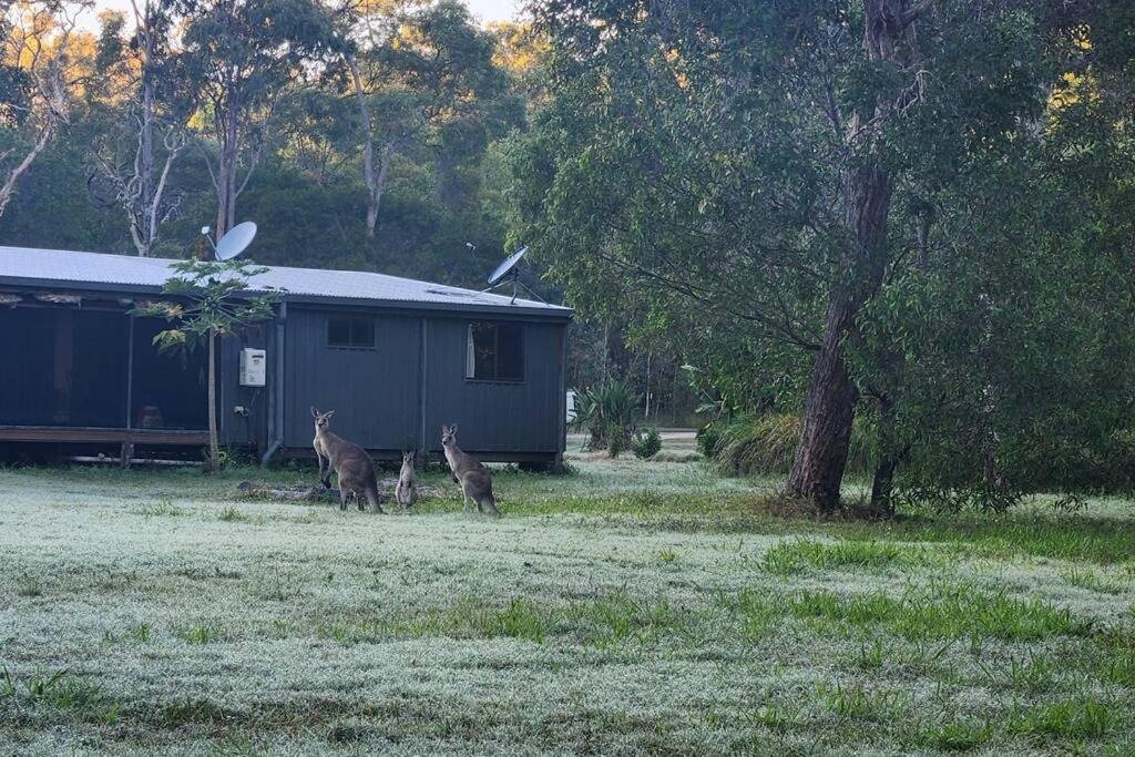 Photo of Others in Round Hill