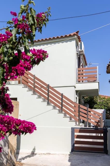 Photo of Others in Lemnos