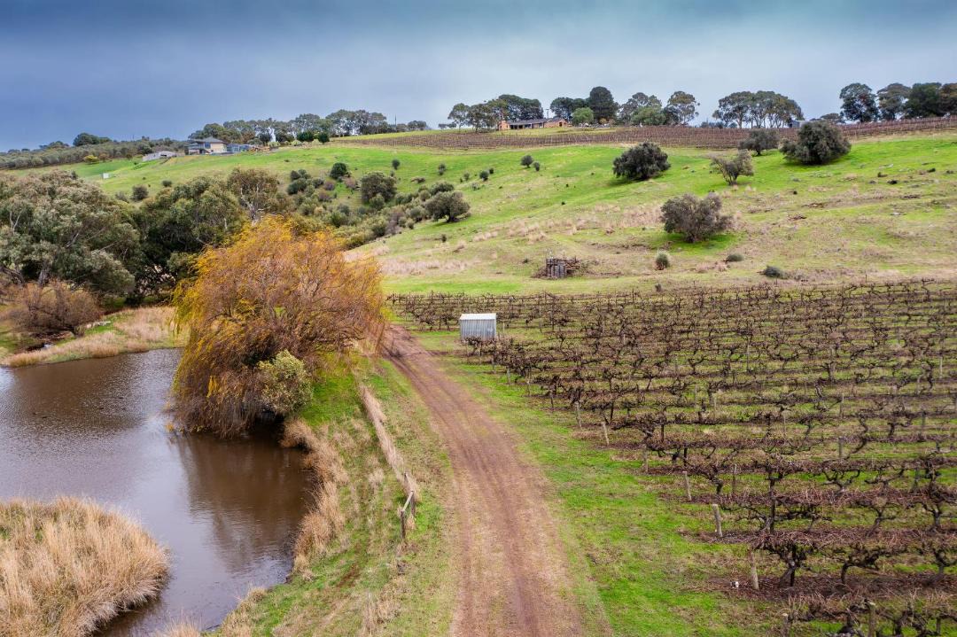 Photo of Others in McLaren Vale