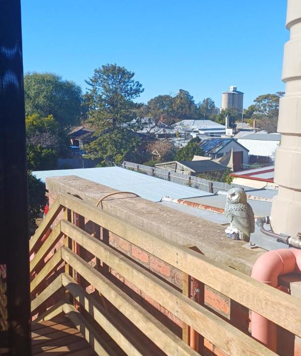 Photo of Others in Dimboola