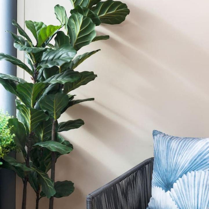 Photo of Livingroom in Adelaide Central Business District