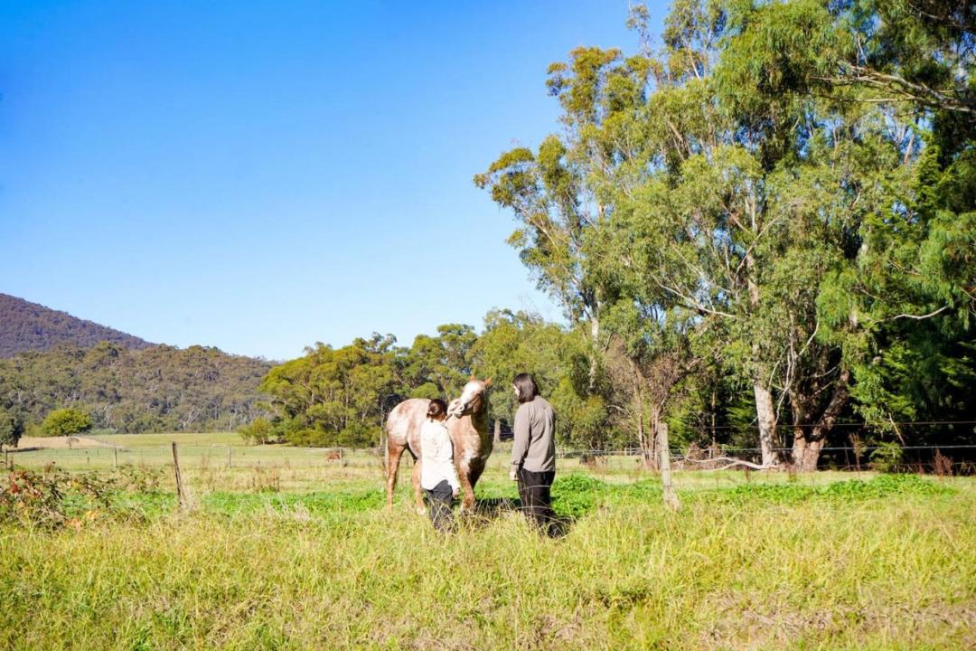 Photo of Others in Badger Creek