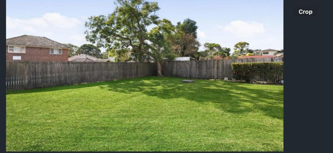Photo of Others in Strathfield