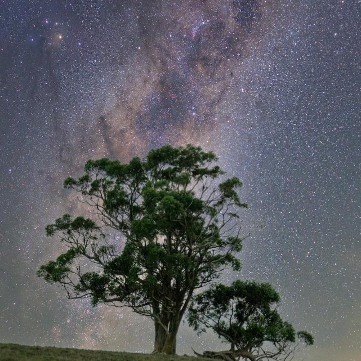 Photo of Others in Hindmarsh Valley
